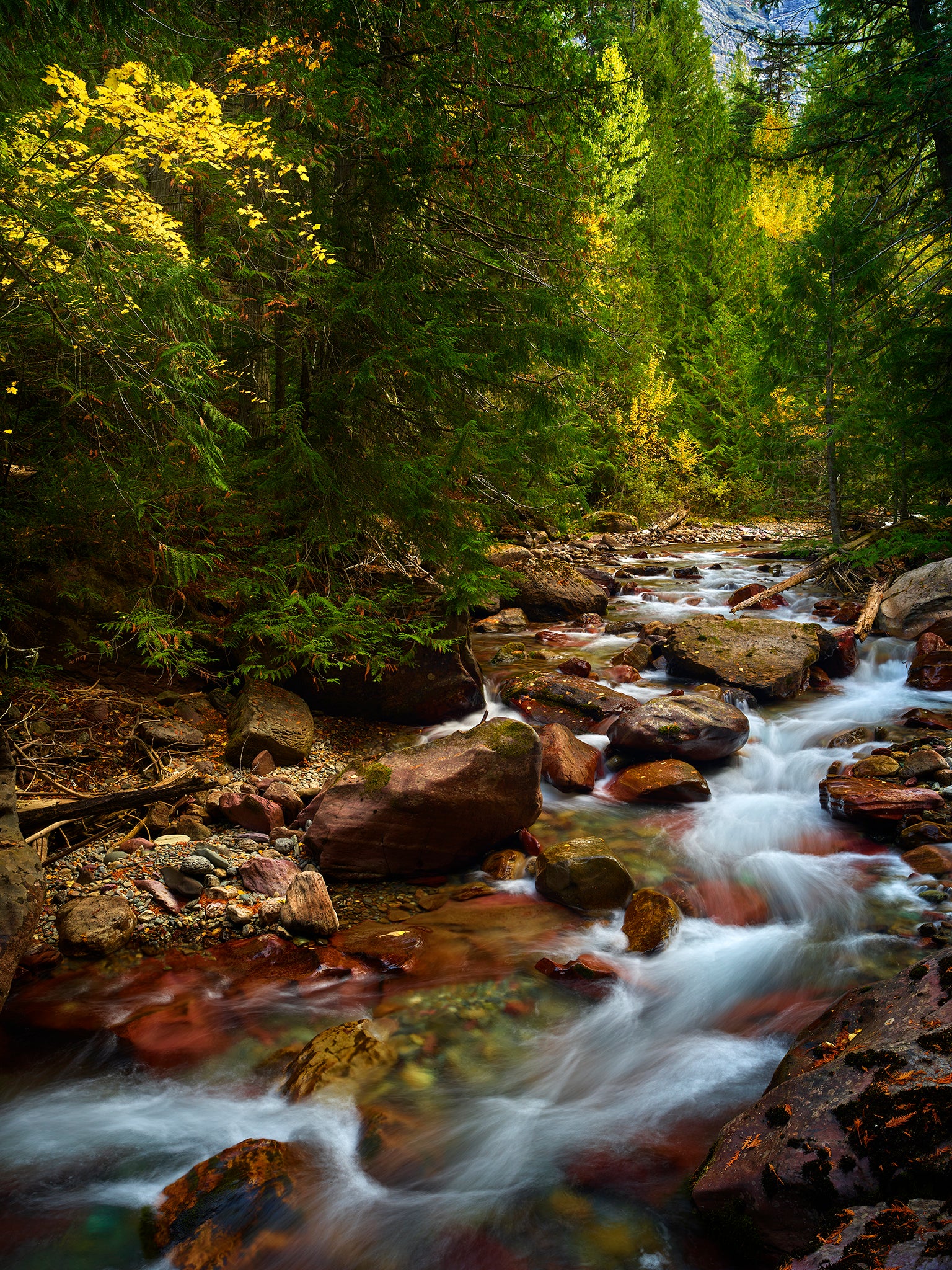 Avalanche Creek