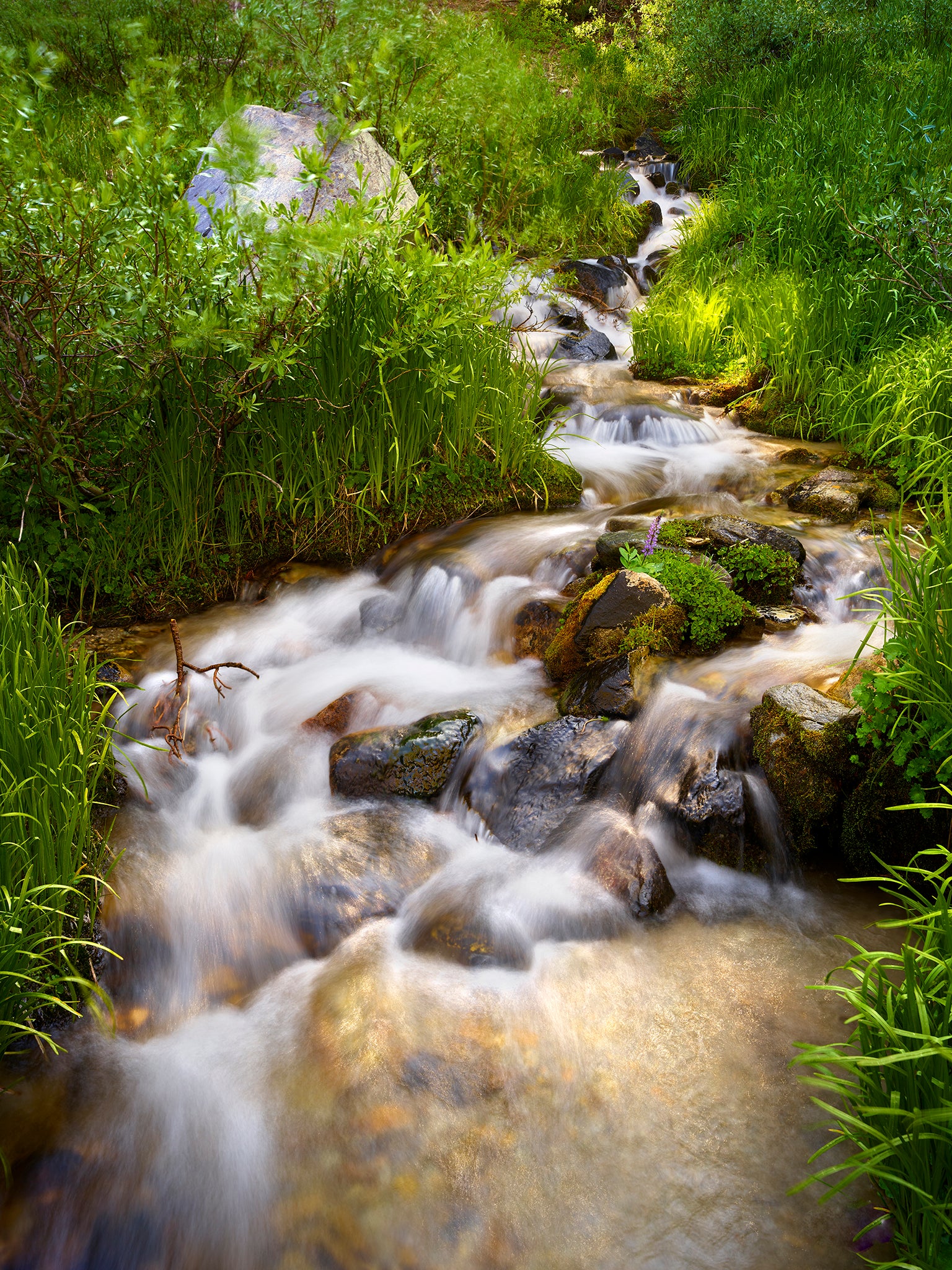 Emerald Creek