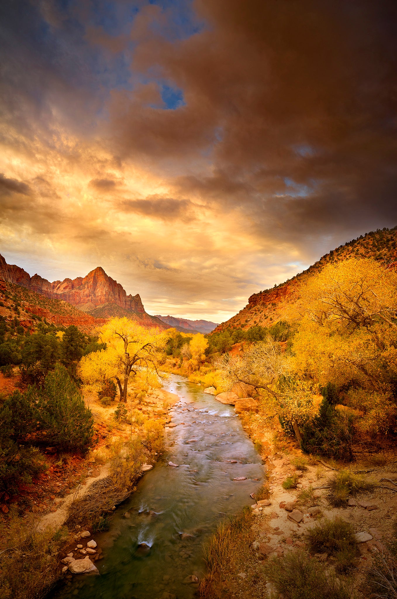 Fall in Zion