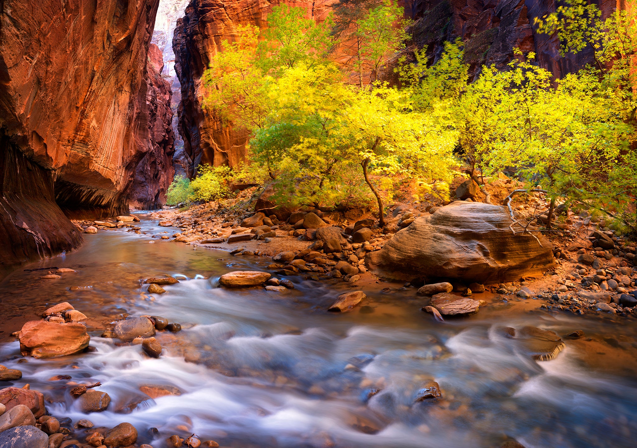 Into the Narrows of Zion