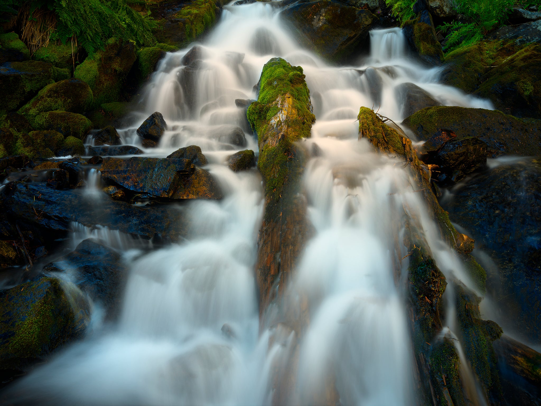 Mammoth Creek