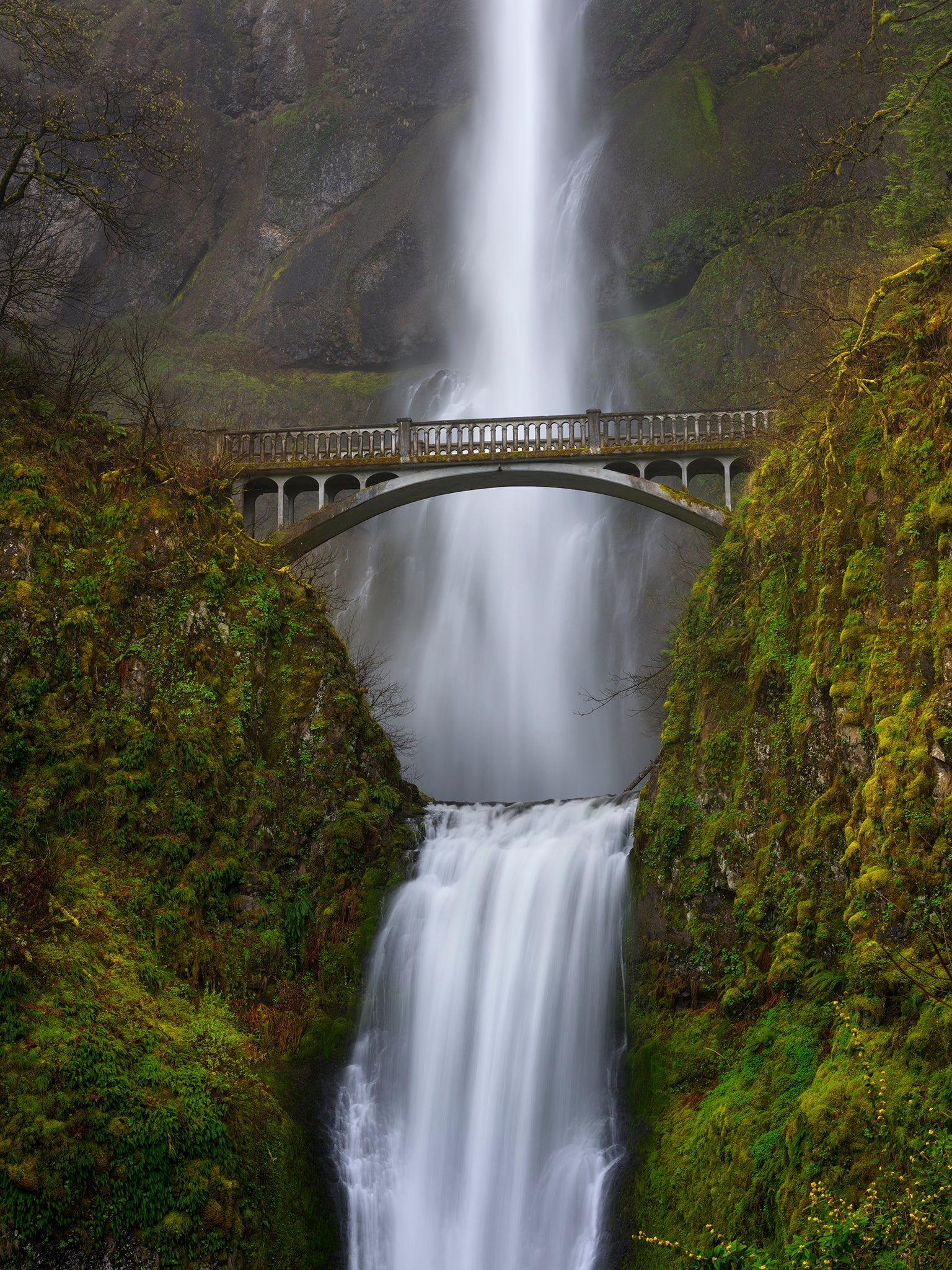 Only in a Fairy Tale