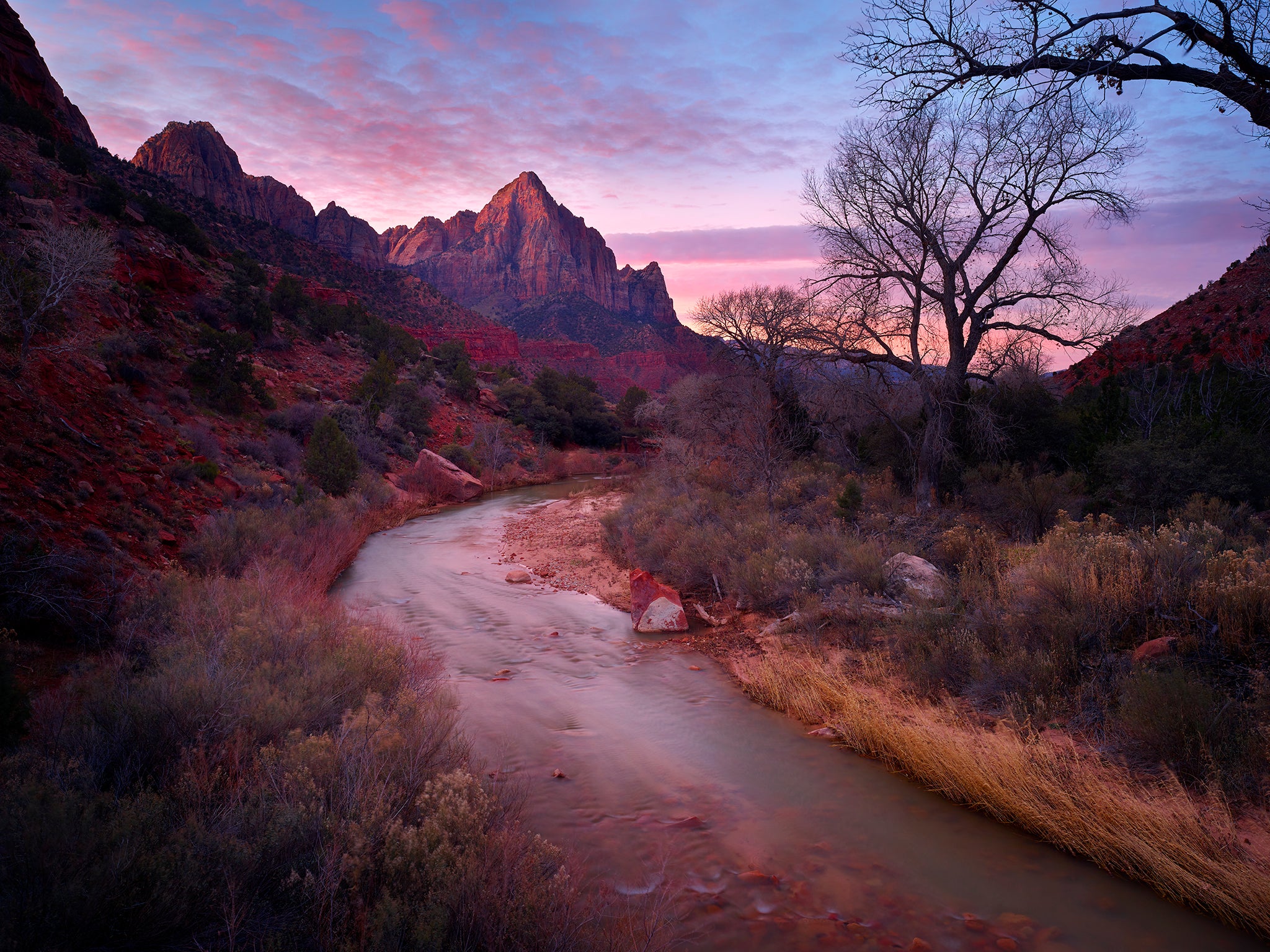The Changing Seasons of Zion