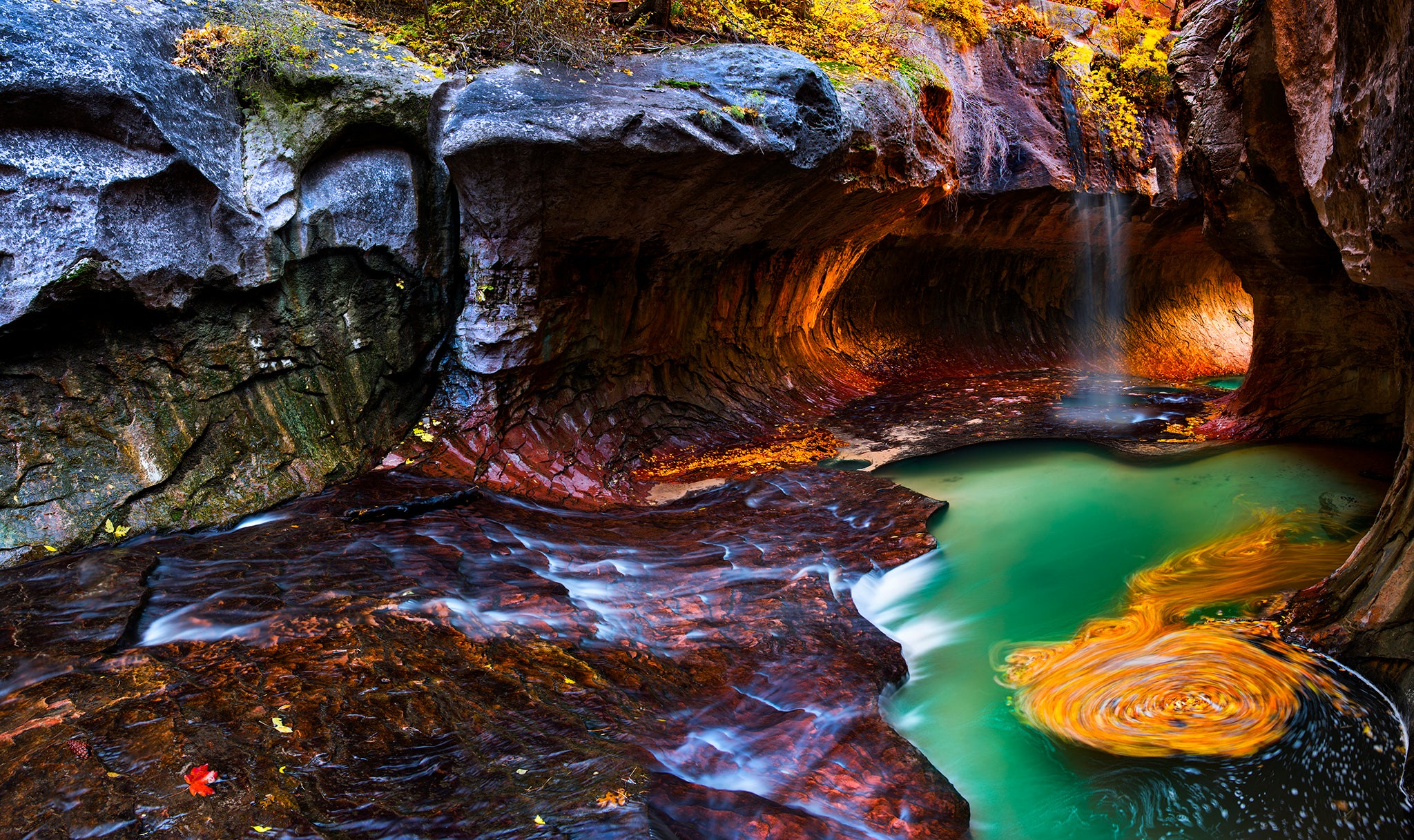 The Fountain of Youth