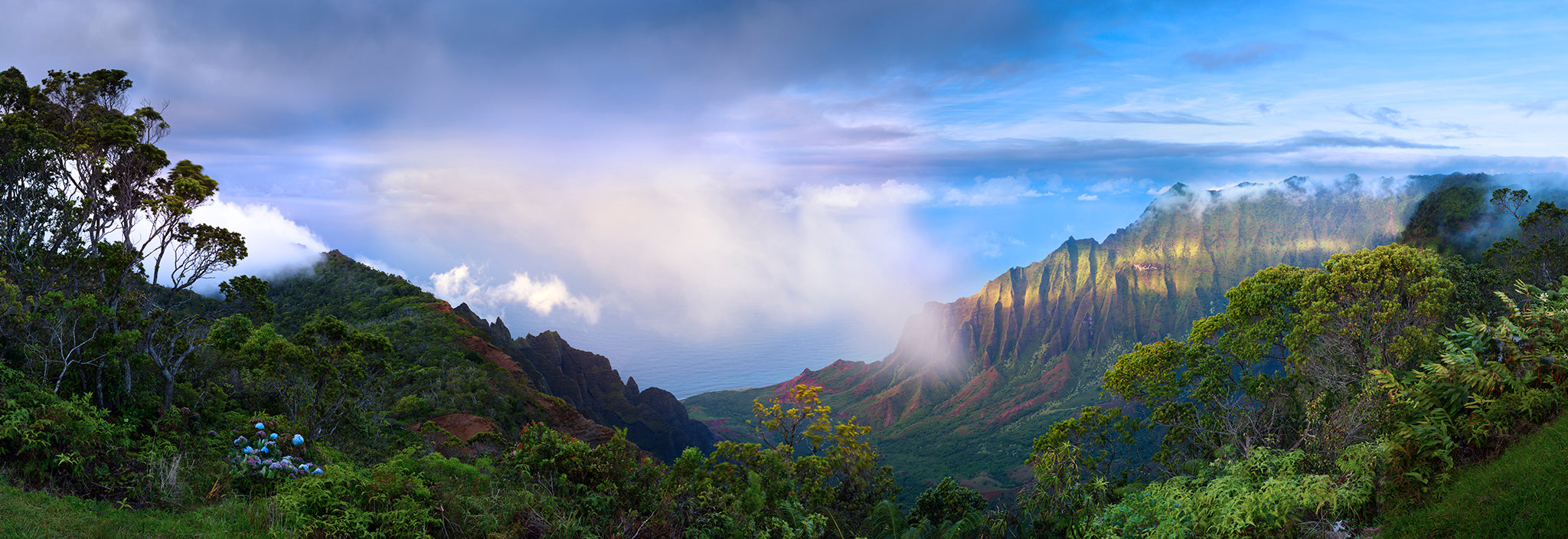 Hawaiian Spirit