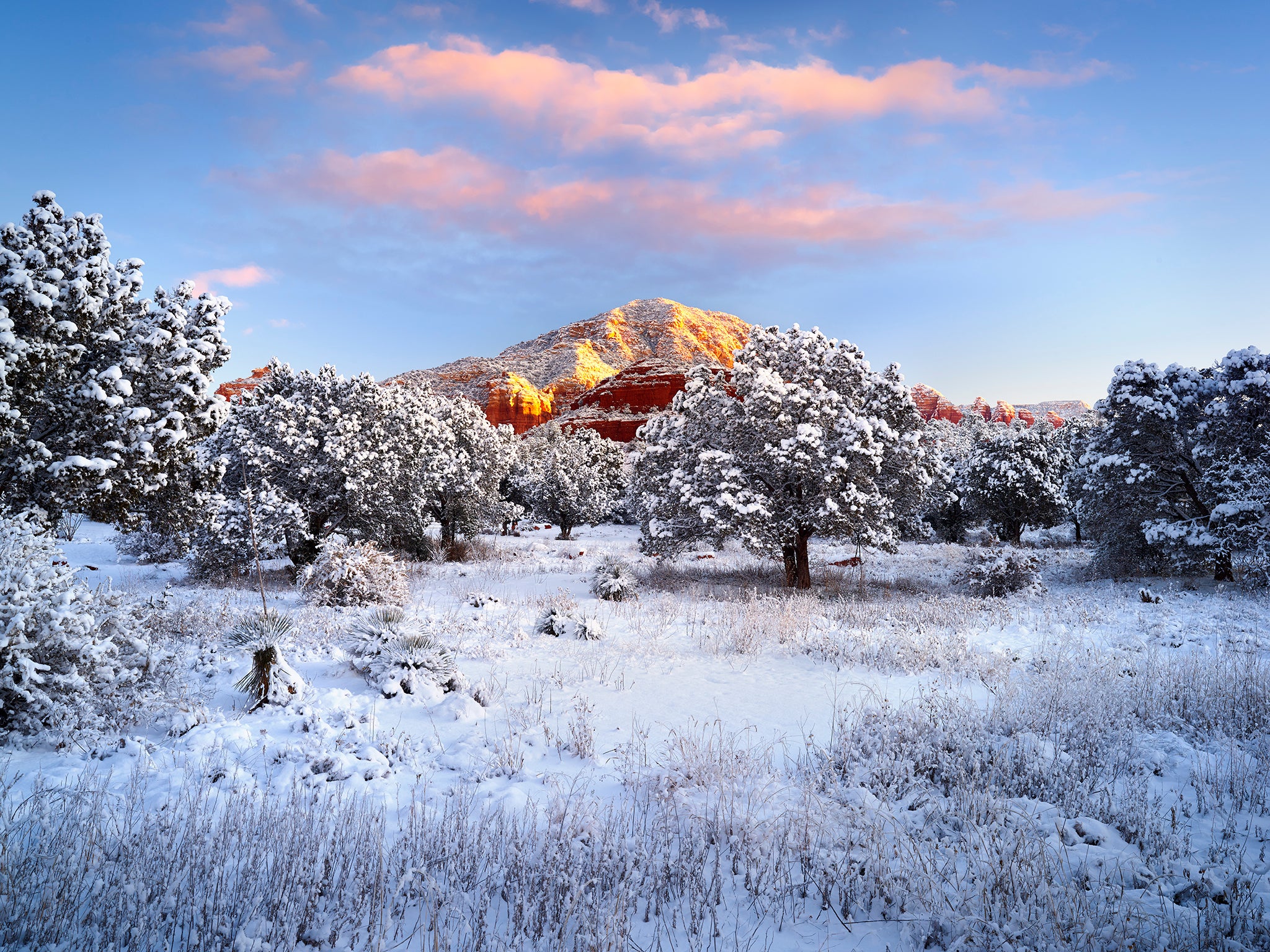 Snow in The Desert