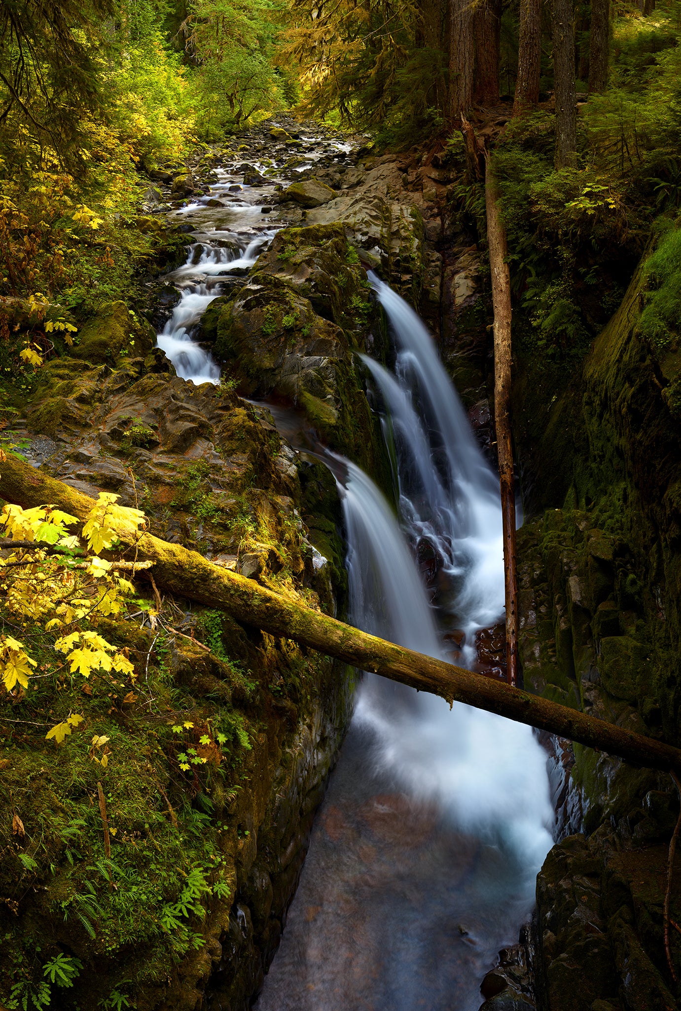 Sol Duc Falls