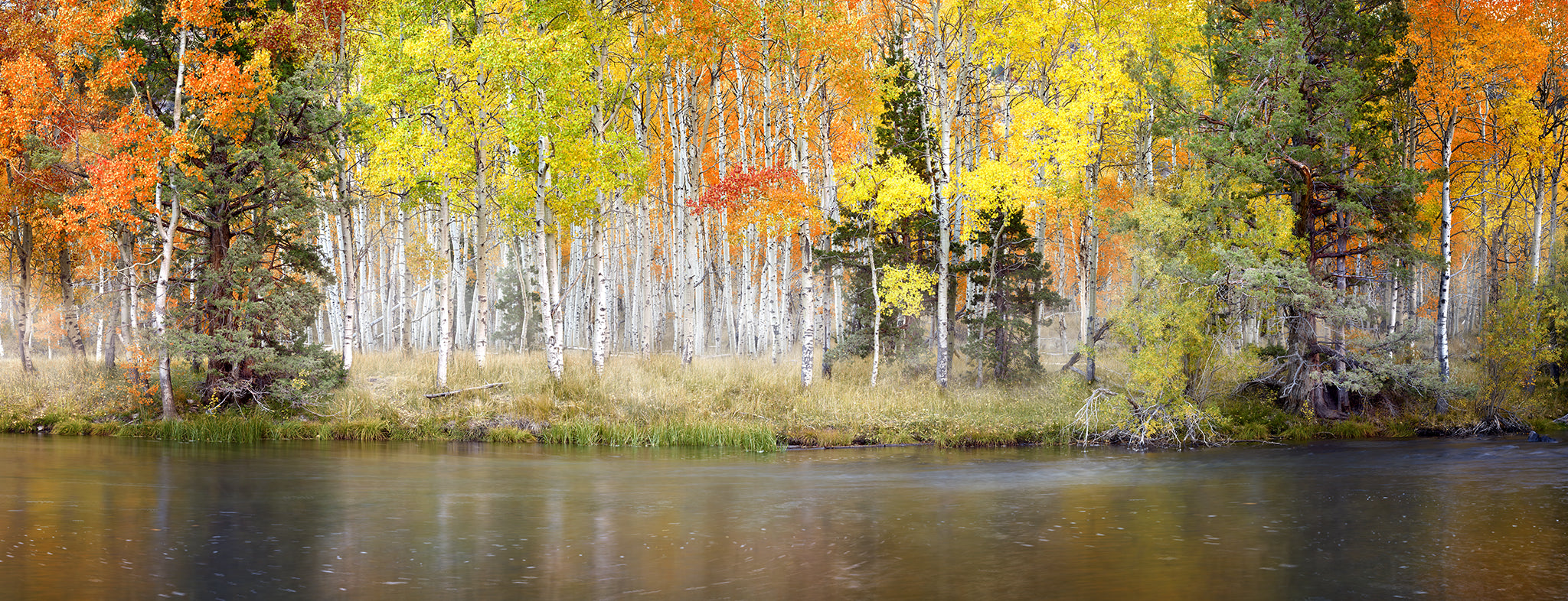 The Colors of Autumn