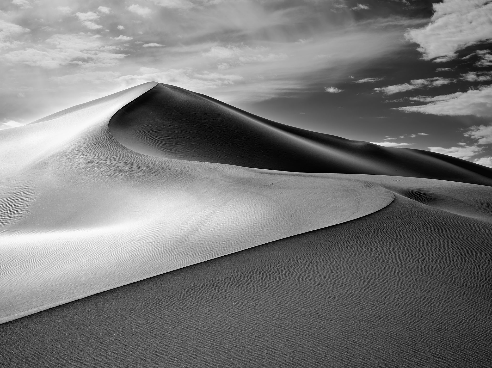 The Dune