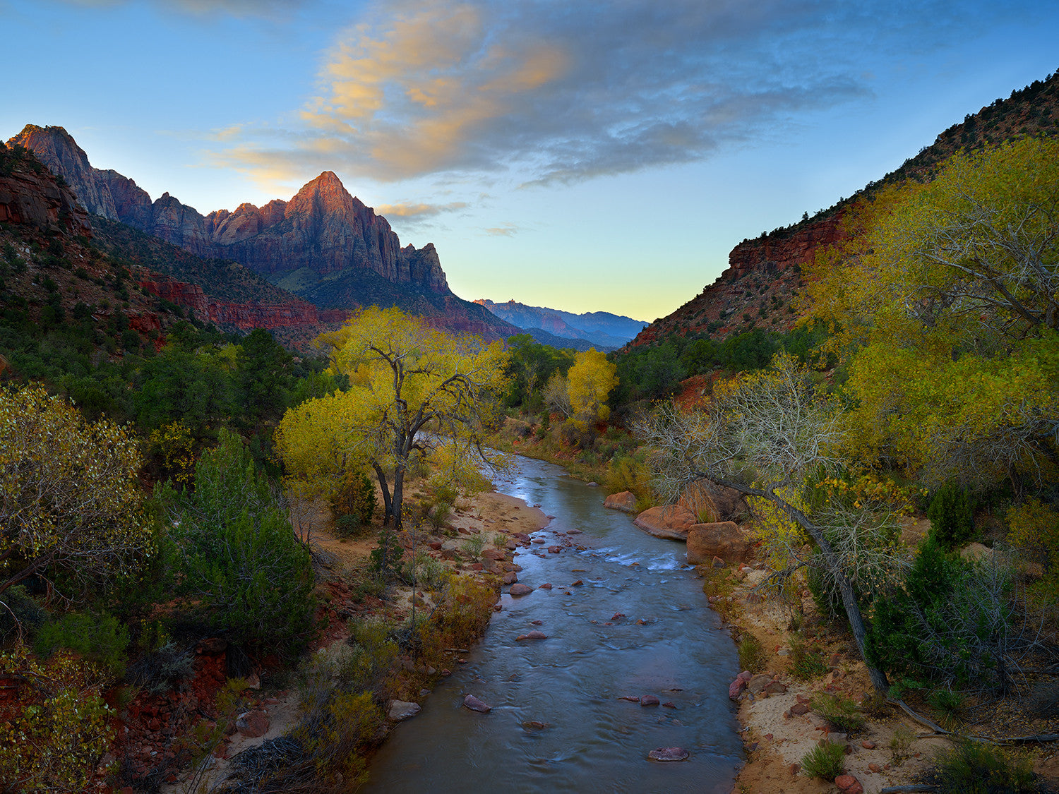 The Watchman