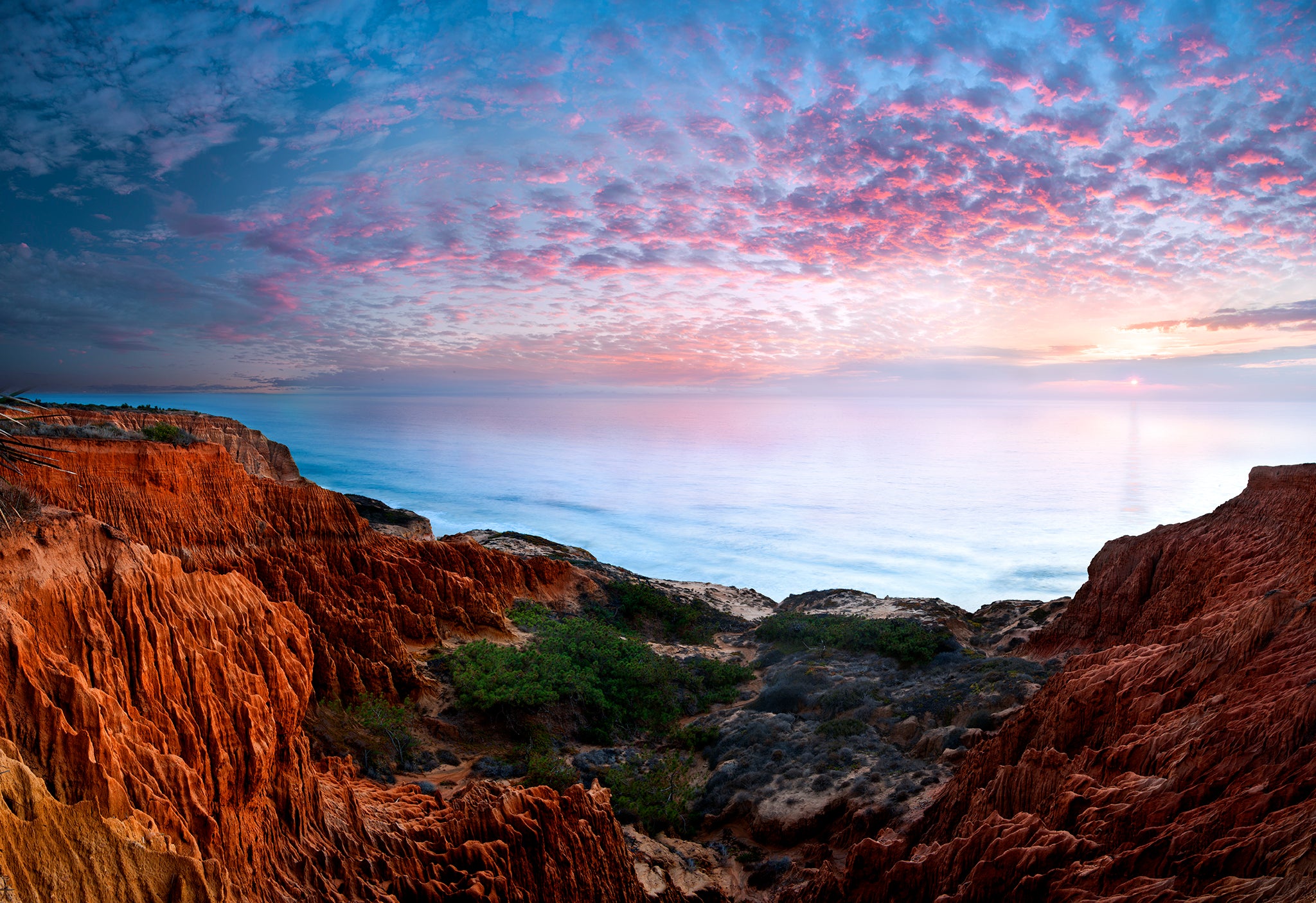 Torrey Pines State Reserve