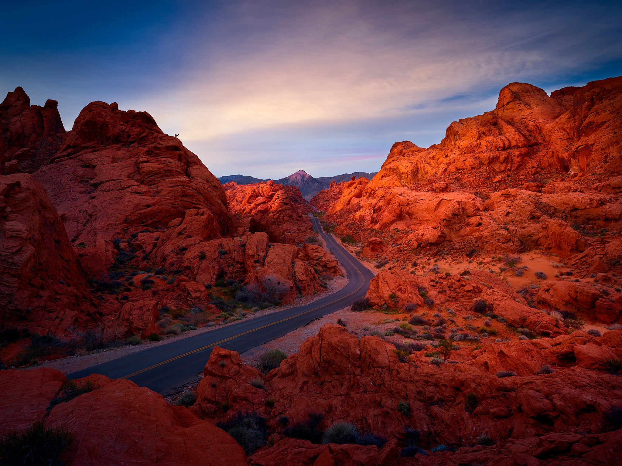 Valley of Fire Road